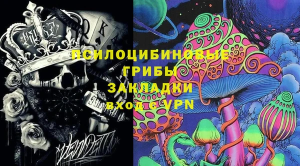 сатива Валдай