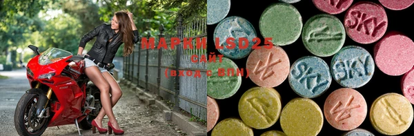 PSILOCYBIN Бугульма