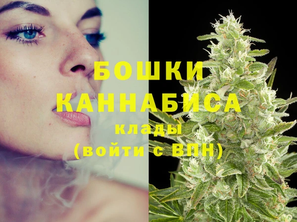 PSILOCYBIN Бугульма