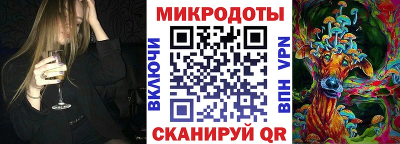 Галлюциногенные грибы Psilocybe  Купить закладки  Ахтубинск 
