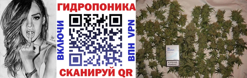 Конопля планчик  Купить где  Ахтубинск 